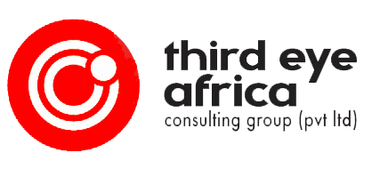 3rd Eye Africa — Third Eye Africa Consulting Group